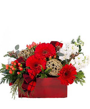 Blitzen's Blossom Box Christmas Flowers