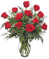Classic Dozen Roses Red Rose Arrangement